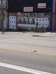 Cartazes com foto de Dodô, do Pixote, são espalhados por São Paulo