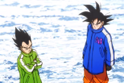 Vegeta e Goku são como irmãos com uma rivalidade latente
