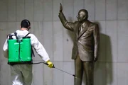 As instalações da Câmara passaram por um processo de limpeza e desinfecção para a volta dos trabalhos