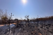 Parque Nacional de Brasília é destruído após incêndio, em meio à segunda maior seca da história