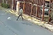 Filhote tentou parar de correr ao ser puxada