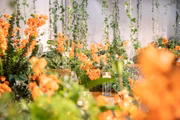 Um jardim de flores!