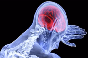 Quanto mais elevadas as taxas de LDL, maior o risco de doenças cardiovasculares, como infarto e acidente vascular cerebral (AVC)