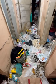Em seus vídeos, é possível ver o estado das casas 