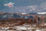 Equipe de resgate voluntária tenta salvar uma vaca presa no lamaçal de rejeitos de ferro desde a sexta-feira (25/1), quando a barragem da mineradora Vale se rompeu, devastando e destruindo tudo por onde passou. Pela dificuldade da remoção, o animal teve de ser sacrificado