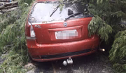 Carro foi atingido por árvore no Paranoá