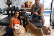 O cachorro era muito amado pelo casal