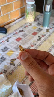 Criminoso estava com ouro e armas
