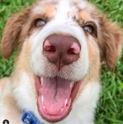 Alguns também tentam conquistar com um sorrisão