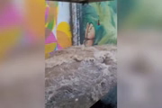 Beco do Batman alagado pelas fortes chuvas