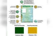 O documento adotará também as cores amarelo, verde, cinza e azul, diferente da atual, que conta apenas com o verde escuro 