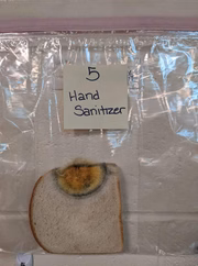 Pão manuseado por mãos higienizadas com álcool gel