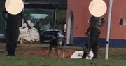 Imagens mostram cachorros mal-tratados nas dependências do Exército