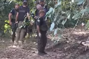 GCM Ambiental e Policia Civil conduzem as investigações com apoio do canil