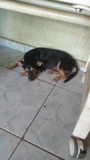 A cuidadora faz o possível para dar muito amor