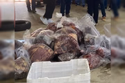 Carne dos equinos era usada para fazer hambúrguer