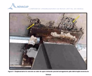 Trecho de nota técnica assinada pela Novacap