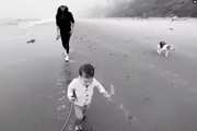 Archie corre pela praia 