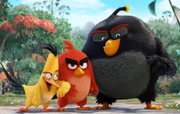 <b>Angry Birds - O Filme</b>. Adaptação do jogo Angry Birds, uma das maiores franquias mundiais de entretenimento, o filme vai contar a história de Red, um pássaro com problemas para controlar seu estresse, o veloz Chuck e o volátil Bomba, amigos que nunca tiveram seus valores reconhecidos. Quando misteriosos porquinhos verdes invadem a ilha onde moram, estes improváveis heróis serão os responsáveis por descobrir qual o plano da gangue suína