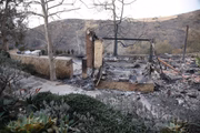 Mel Gibson perde mansão de R$ 89 milhões em incêndio florestal