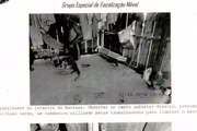 Empregados resgatados em fazenda de Guimar bebiam a água do cavalo