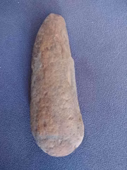 Ele conta que enviou fotos para Museu de Geociências da Universidade de Brasília (UnB) para que a instituição possa "bater o martelo" sobre a confirmação dos fósseis