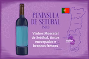 Diversidade vinícola de Portugal