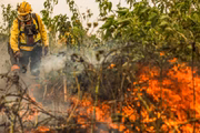 Pantanal em chamas: focos de incêndio no primeiro semestre batem recorde