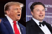 Trump sinaliza que Musk vai compor conselho no futuro governo