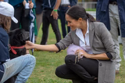 Ela cria cachorros 