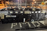Droga foi localizada em Ceilândia