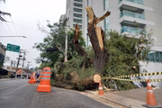 Estragos pós-apagão na Avenida Santo Amaro, zona sul de São Paulo-apagão na Rua 9 de Julho, zona sul de SP