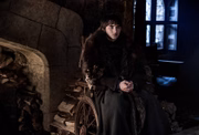 <b>Bran Stark (Isaac Hempstead Wright)</b>. O Corvo de Três Olhos virou a grande figura mística da série, capaz de investigar passado e presente por meio de visões. Será usado como isca na batalha para atrair o Rei da Noite. Por isso, corre perigo. Ao mesmo tempo, pode antecipar movimentos – seus e dos inimigos – a partir de suas viagens mentais