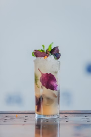 O bartender gosta de decorar os drinques com ervas frescas: escolheu o manjericão roxo não só pela estética, mas pelo perfume