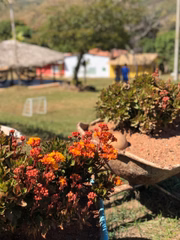 As atividades foram reabertas recentemente
