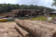 Desmatamento na Amazônia