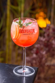 Drinque Sarah Kubitscheck do Barziin