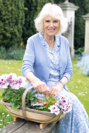 A rainha Camilla recebeu uma homenagem de aniversário de William e Kate 