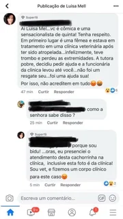 Uma seguidora afirmou que a história não era verdade