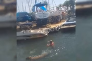 Momento em que capivara ataca marinheiro no Lago Paranoá