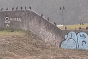 Urubus foram atraídos ao local por causa do cheiro de peixe morto