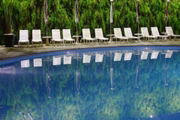 Local conta com piscina e academia
