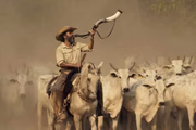 Cena da novela Pantanal