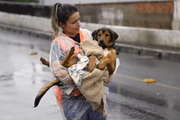 Socorrista segura um cachorro resgatado de uma área alagada em Canoas (RS)