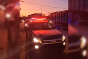Incêndios criminosos colocaram em risco o gado arrebanhado e diversos animais silvestres
