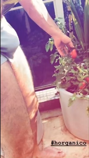 Em vez dos tomates, os seguidores focaram na "berinjela" dele