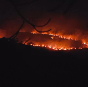 Terreno íngreme e com pedras dificulta o trabalho de bombeiros e brigadistas no combate ao incêndio