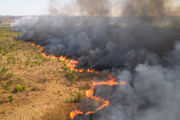 Incêndio no Parque Nacional de Brasília teve início no domingo (15/9) em meio à segunda maior seca da história de Brasília