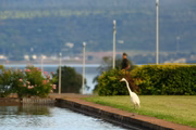 Espelho-d’água do Palácio da Alvorada
