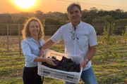 Ao todo, serão produzidas 100 garrafas